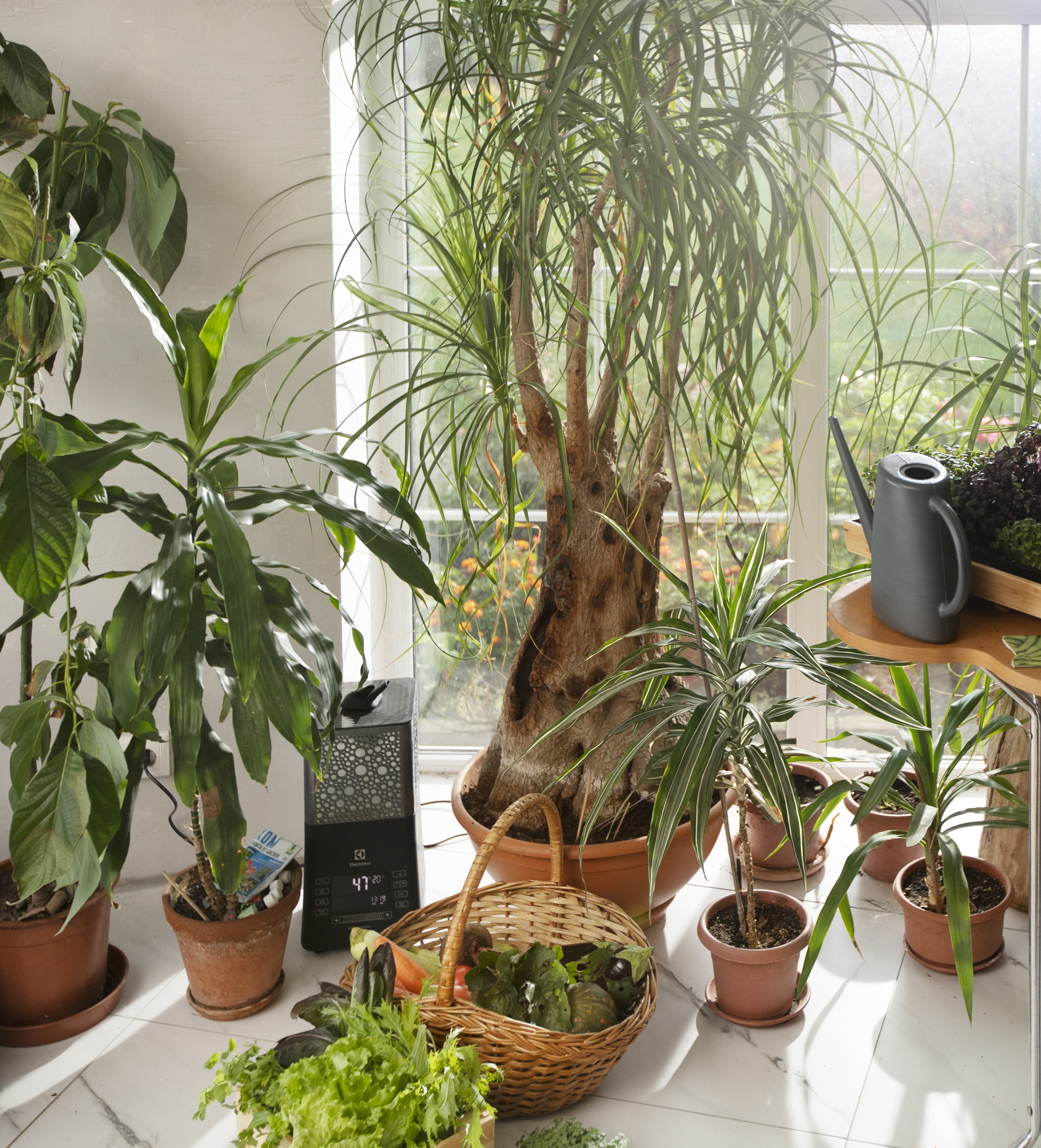 Aménagement d'intérieur Lille Jardins Cachés