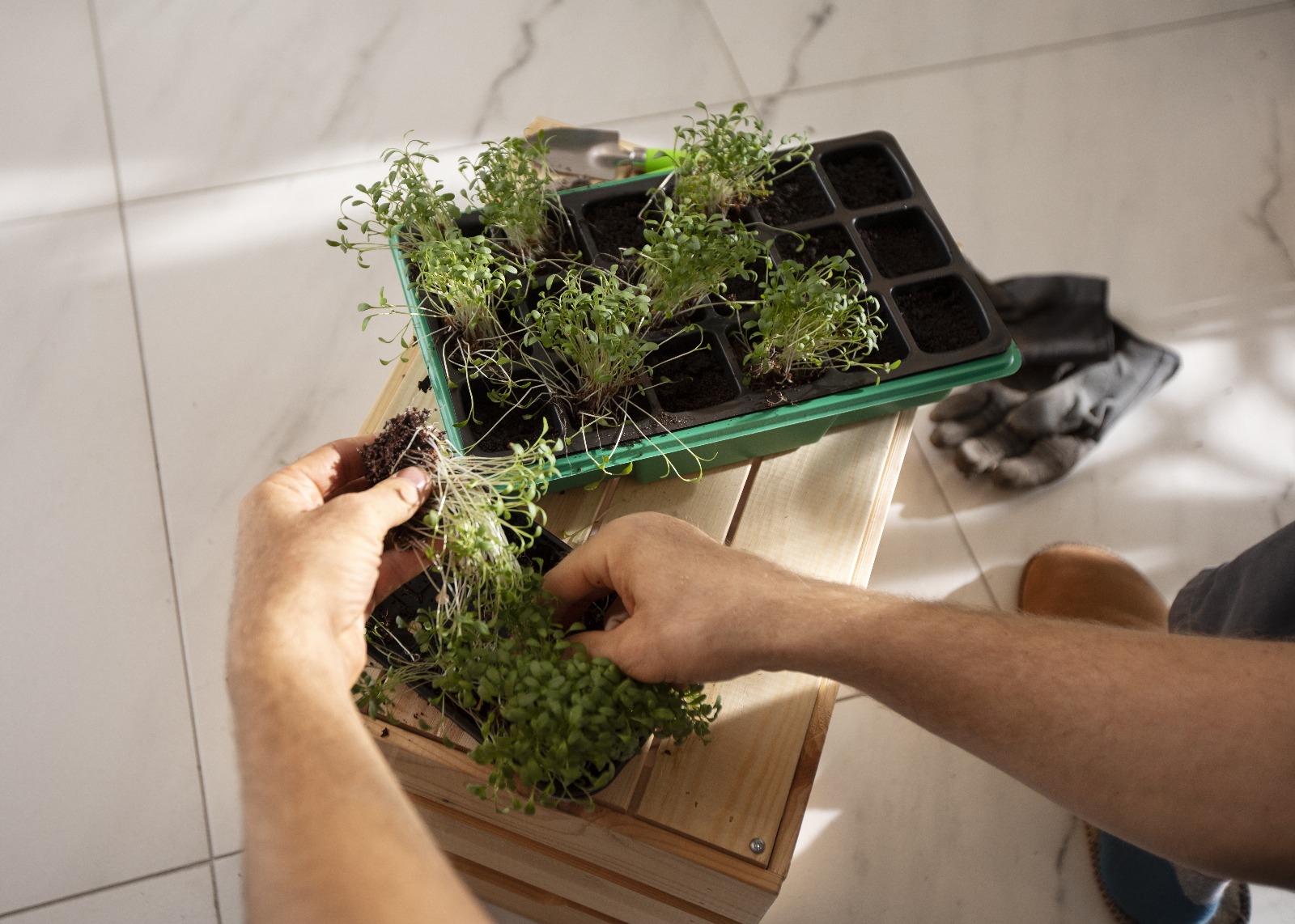 Aménagement d'intérieur Lille Jardins Cachés 5